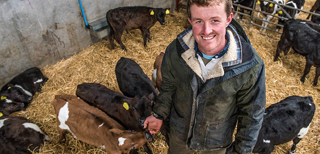Farmer Brown in seinem Stall