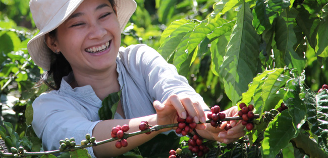 Nestlé bildet Frauen und Jugendliche zu Trainern im Kaffeeanbau aus Nestlé bildet Frauen und Jugendliche zu Trainern im Kaffeeanbau aus