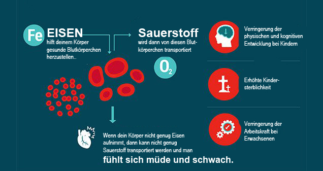 Infografik: Wie wichtig Eisen für den Sauerstofftransport im Blut ist