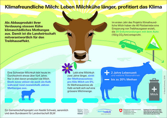 Infografik Wasser