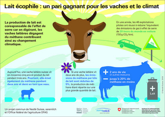 Infografik Wasser