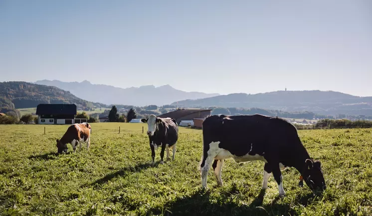 Nestle_agriculteur