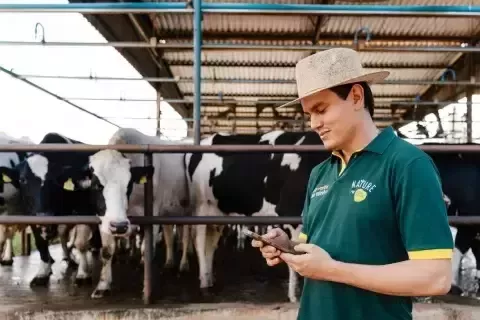 Farmer mit Kühen 