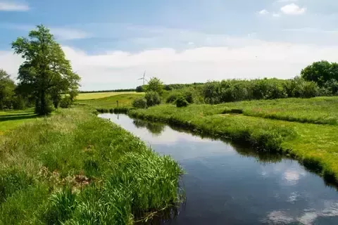 Fluss zwischen Wiesen und Feldern 