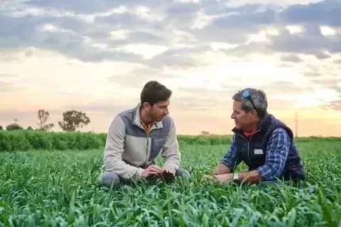 Zwei Bauern arbeiten auf einem Feld 