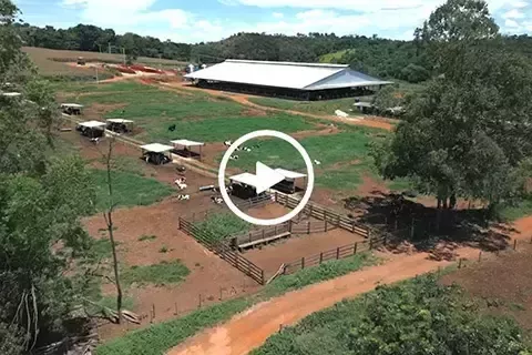 Blick auf einen landwirtschaftlichen Betrieb