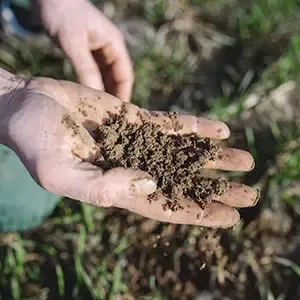 Hände eines Landwirts halten fruchtbare Erde