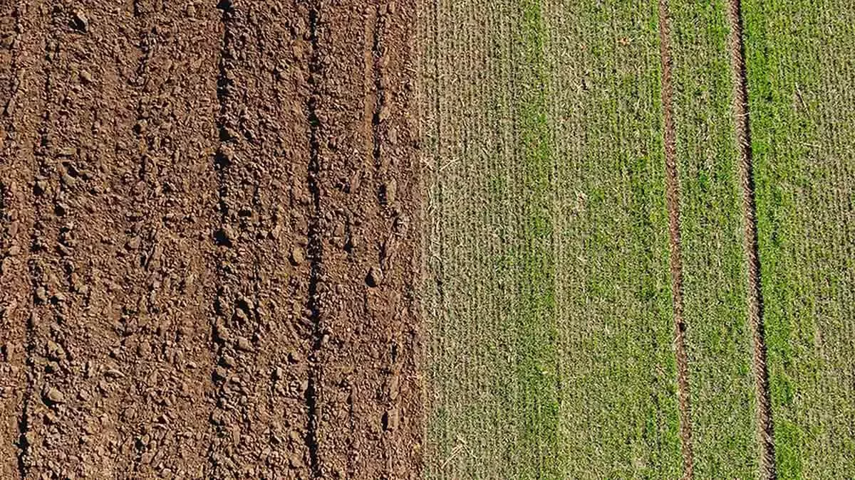Vergleich von bearbeitetem Boden und Begrünung in regenerativer Landwirtschaft
