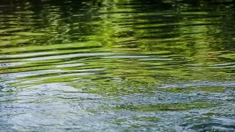 sustainability-climate-regenerative-agriculture-water-card