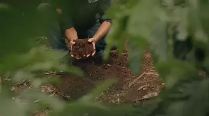 sustainability-regen-ag-soil-model-card-bottom.jpg.png