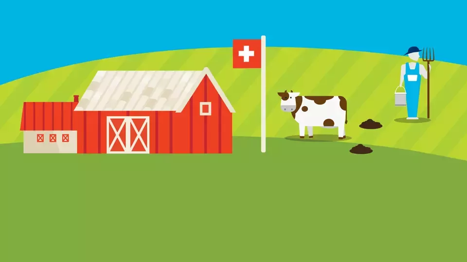 Cow power