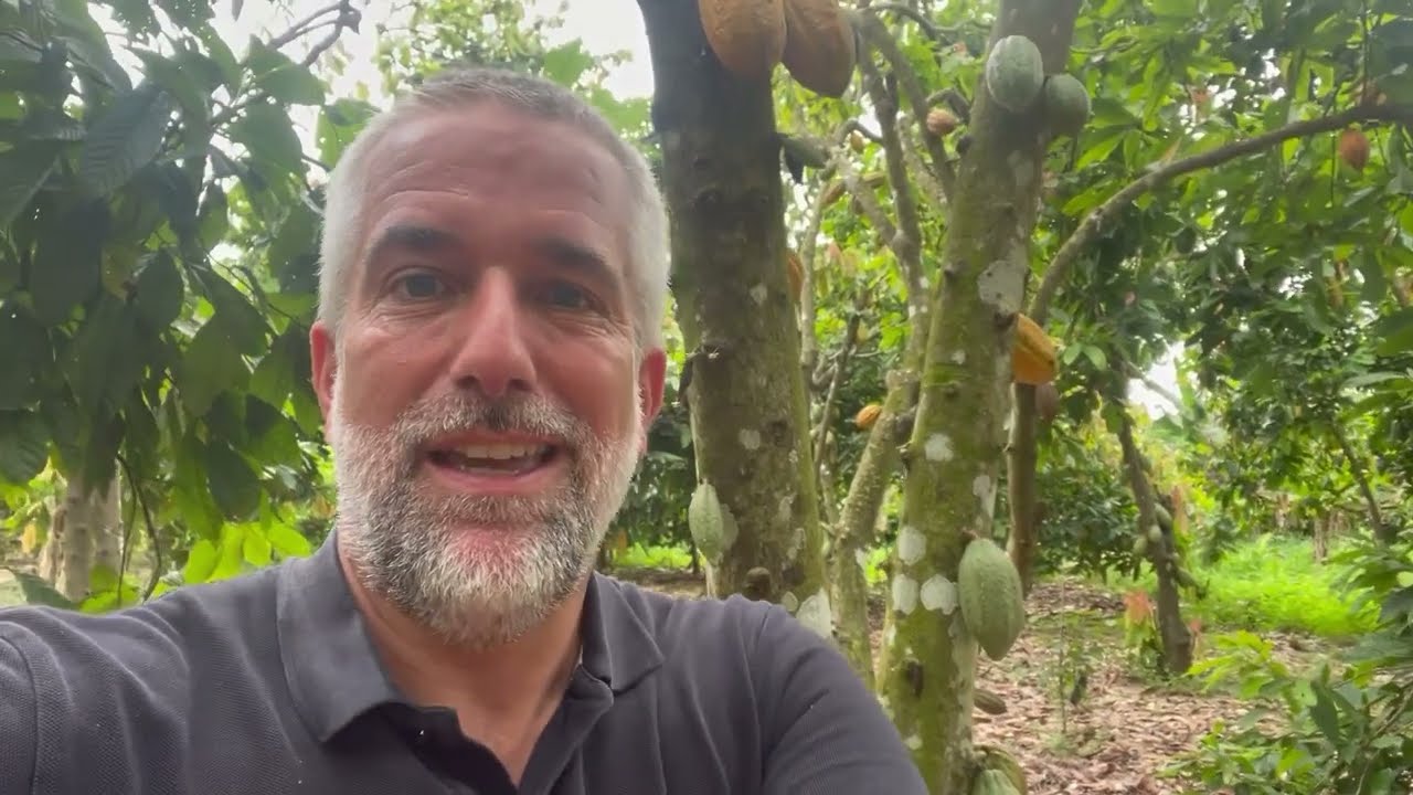 Regenerative agriculture and income accelerator program, Côte-d'Ivoire